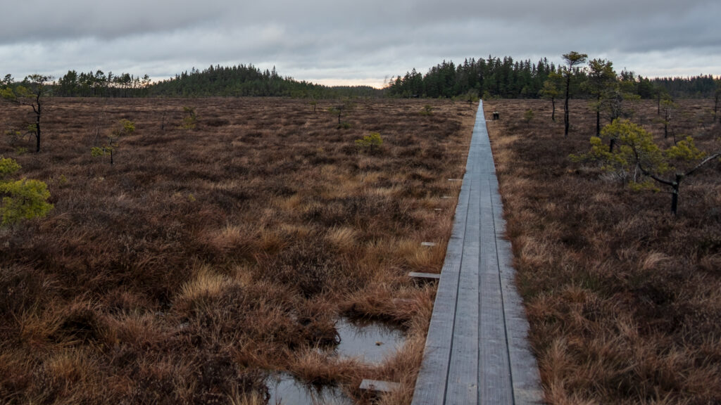 En lång spång så långt ögat kan nå. Foto.