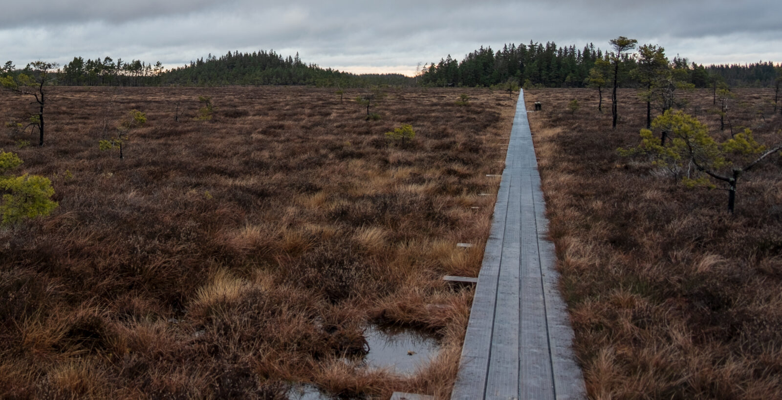 En lång spång så långt ögat kan nå. Foto.