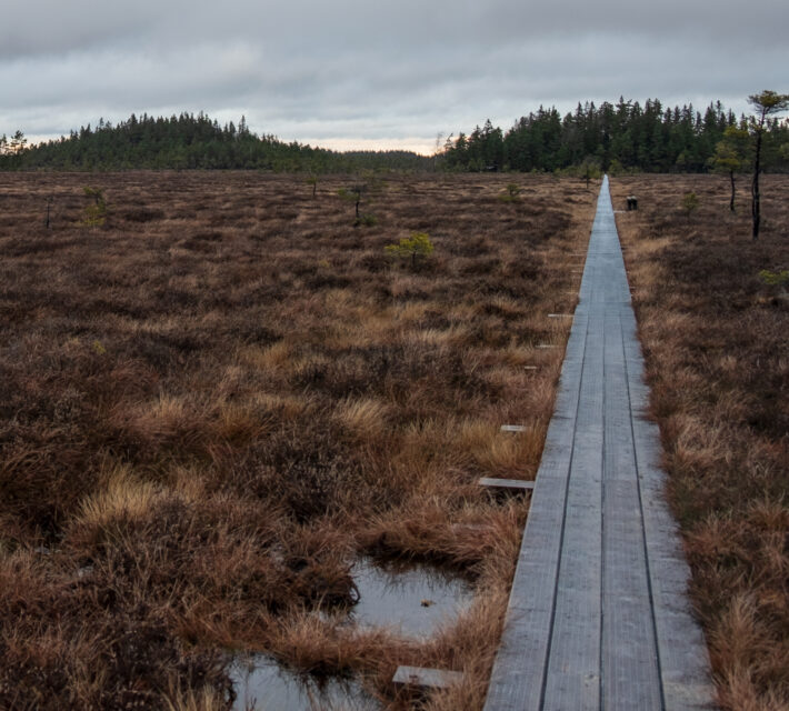En lång spång så långt ögat kan nå. Foto.