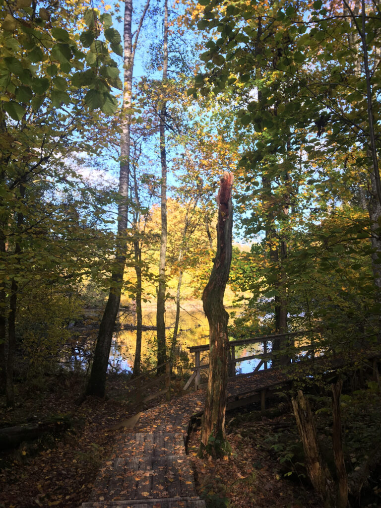 Spång längs med å. Foto.