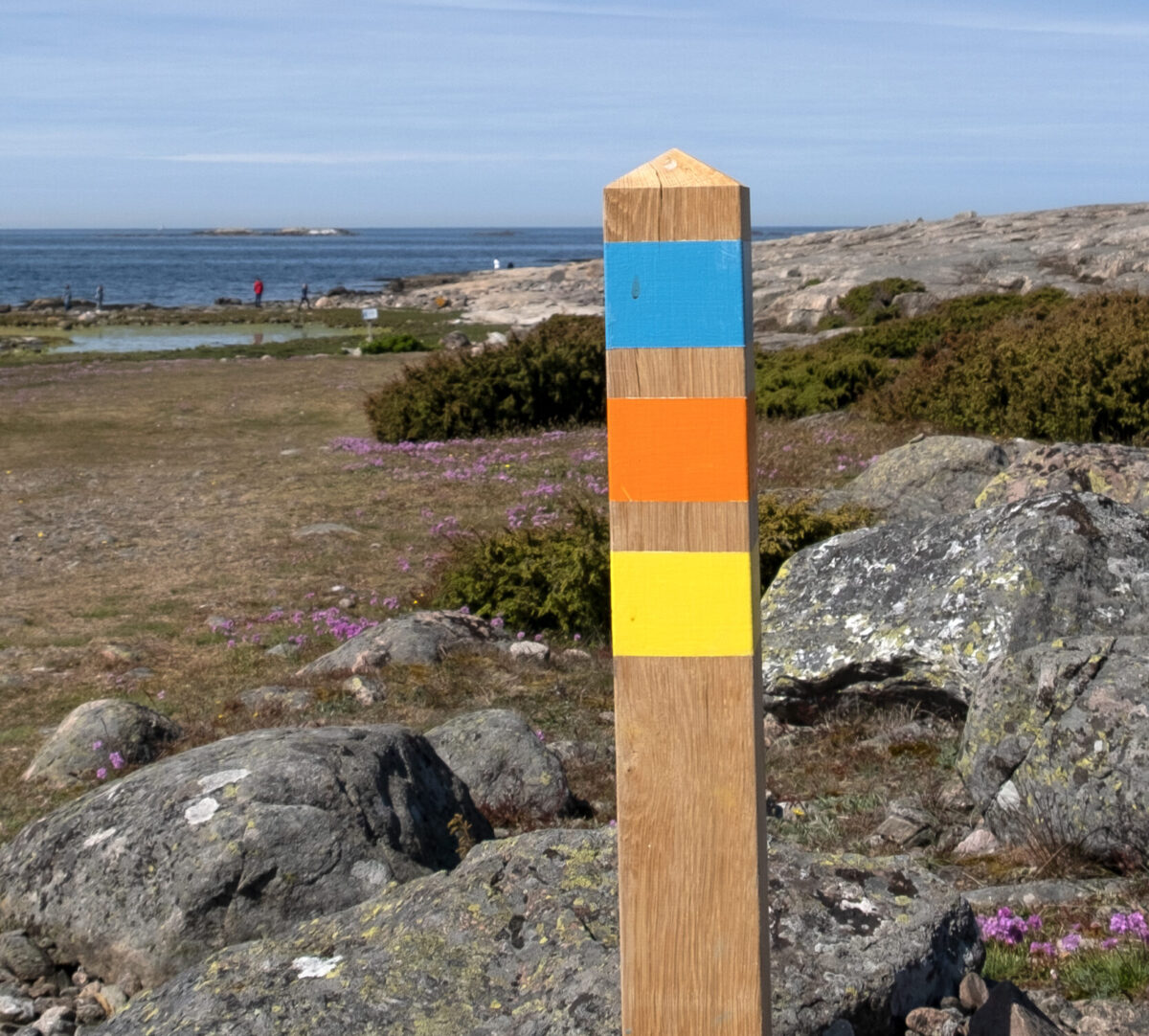 Stolpe med flera stigmarkeringar. Foto.