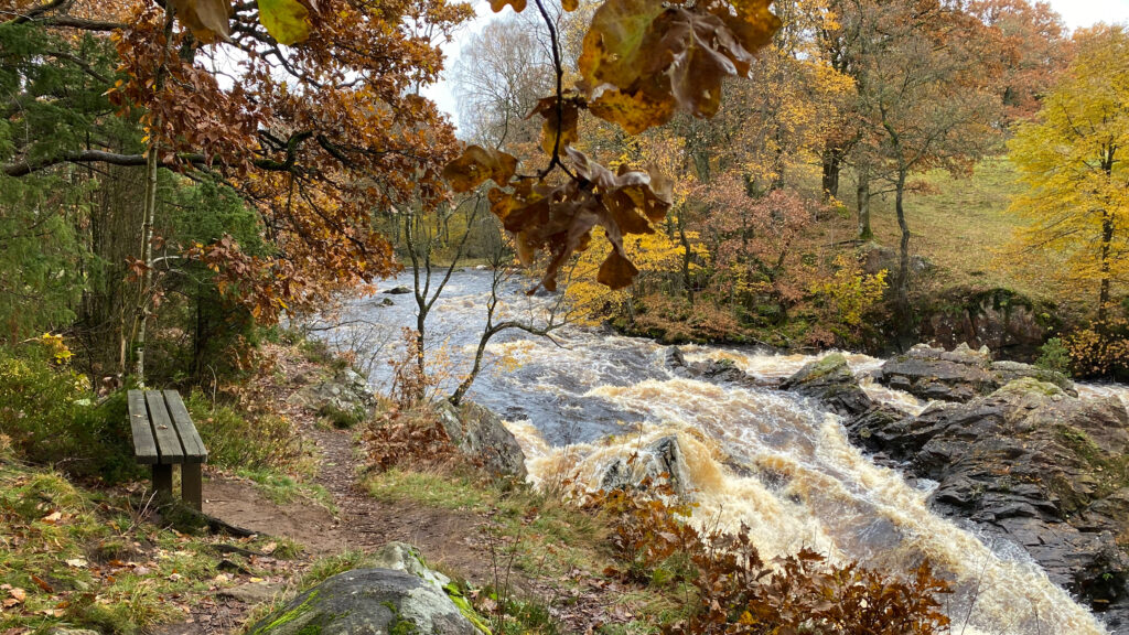 Bänk vid en forsade å. Foto.