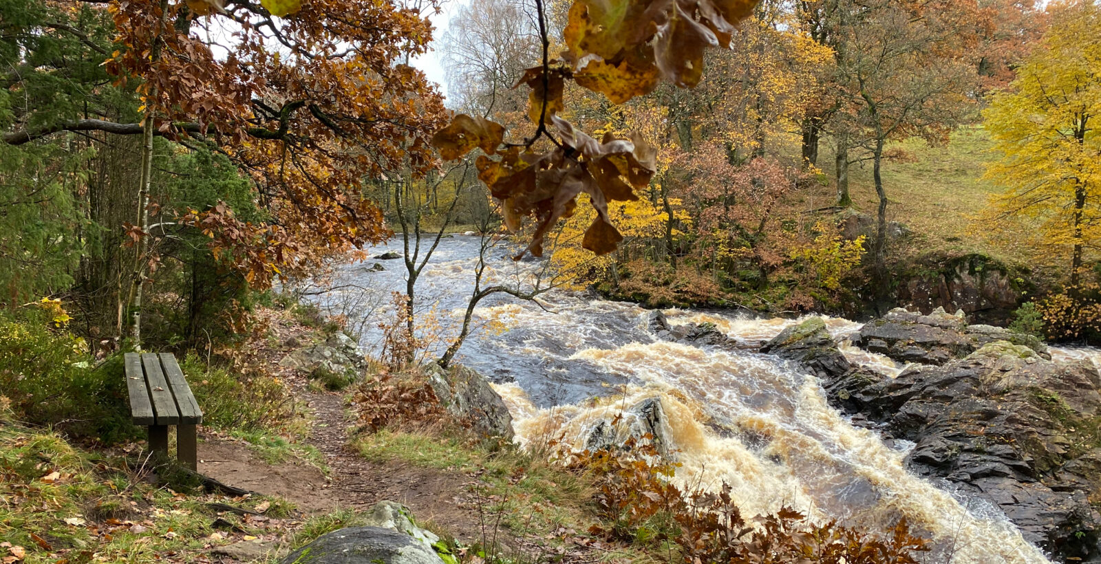 Bänk vid en forsade å. Foto.