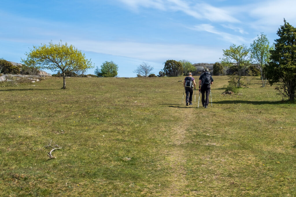 Två vandrare på en på stig. Foto.