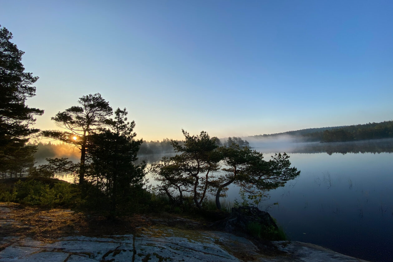 Vill du tälta i ett naturreservat?