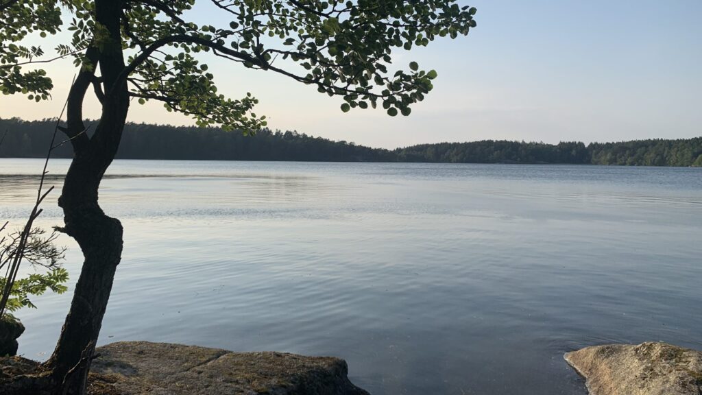 Utsikt över sjö. Foto.