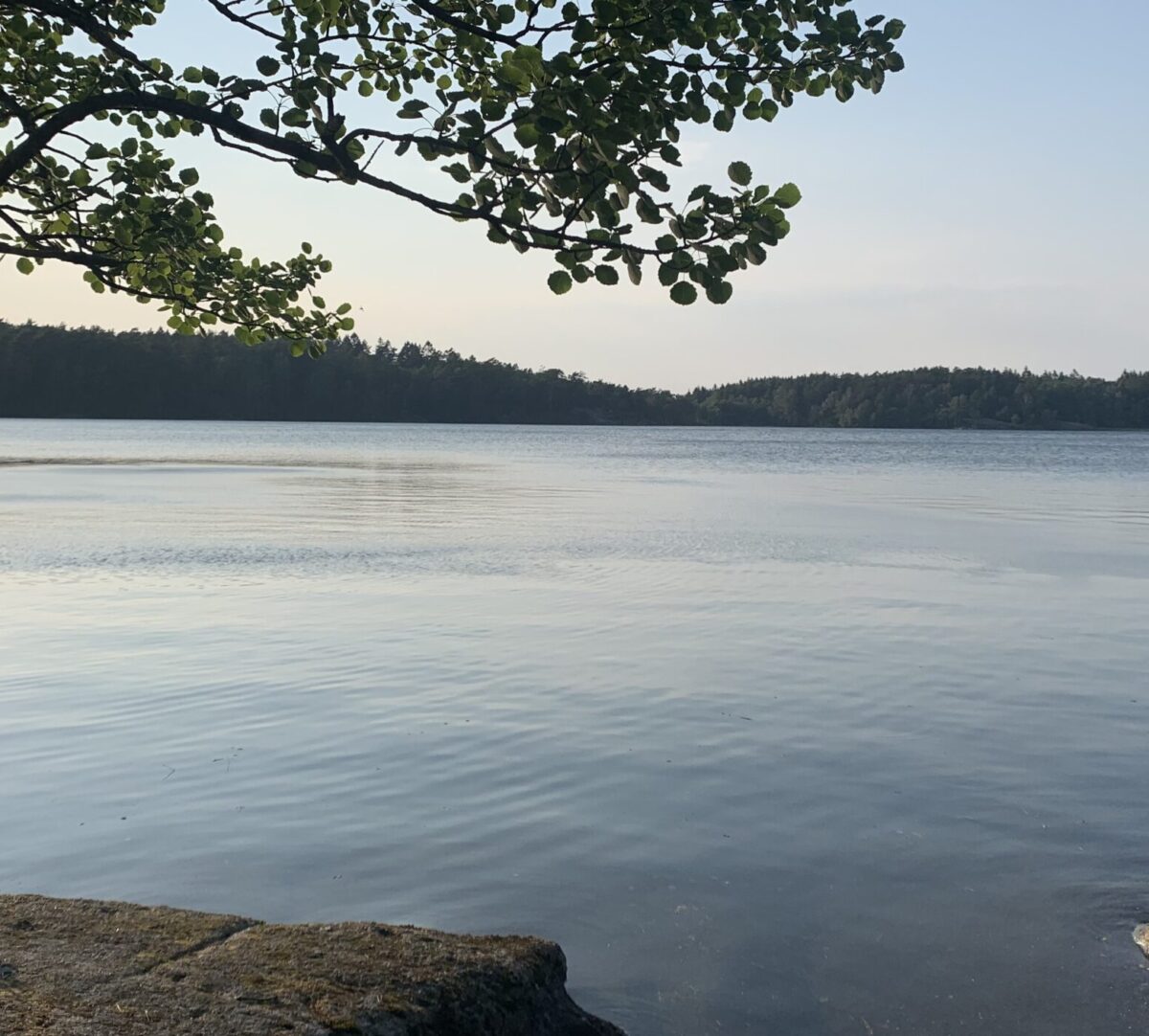 Utsikt över sjö. Foto.