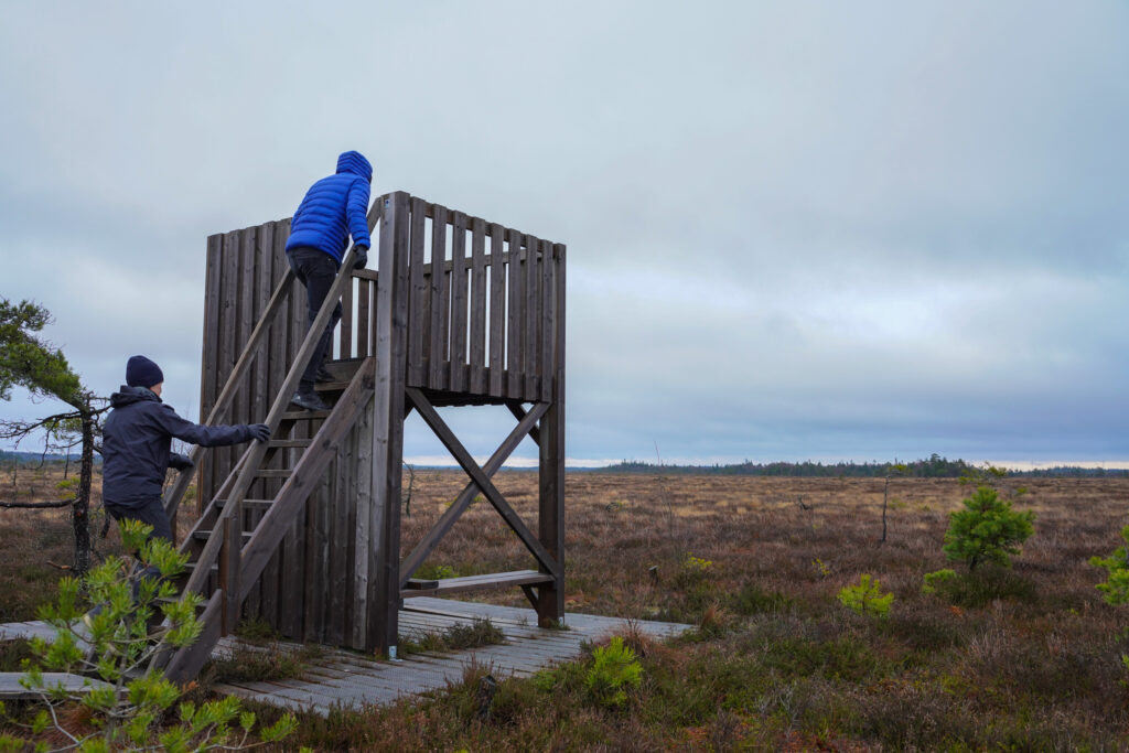 Två personer går uppför en trappa i ett fågeltorn. Foto.