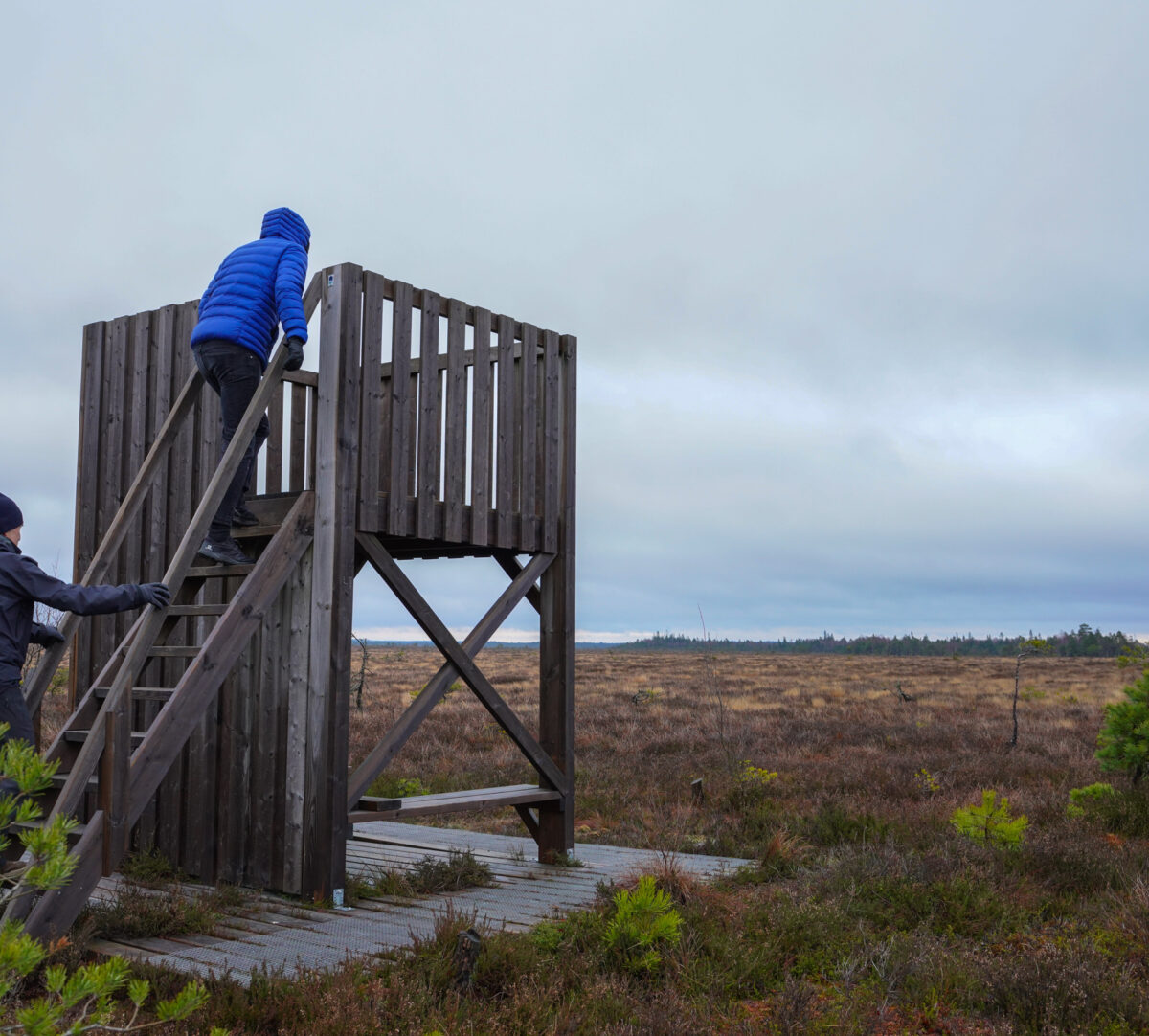 Två personer går uppför en trappa i ett fågeltorn. Foto.