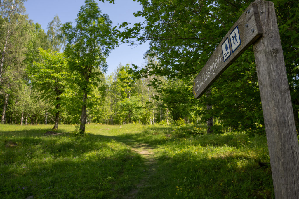 Foto på stigvägvisare av trä.