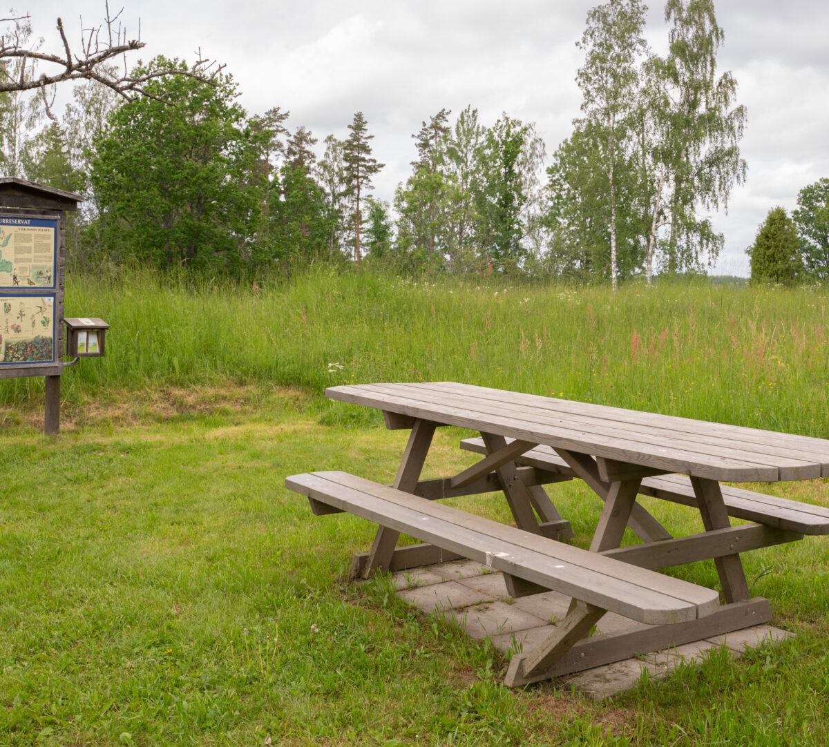 Bänk och infotavla. Foto.