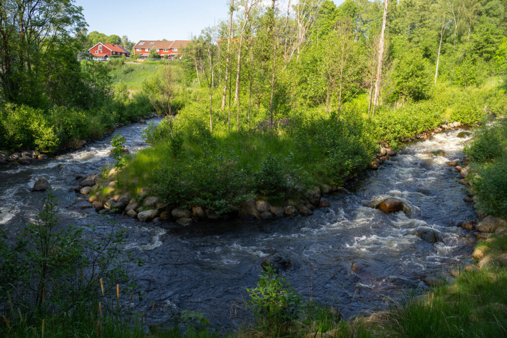 Slingrande fiskomlöp. Foto.