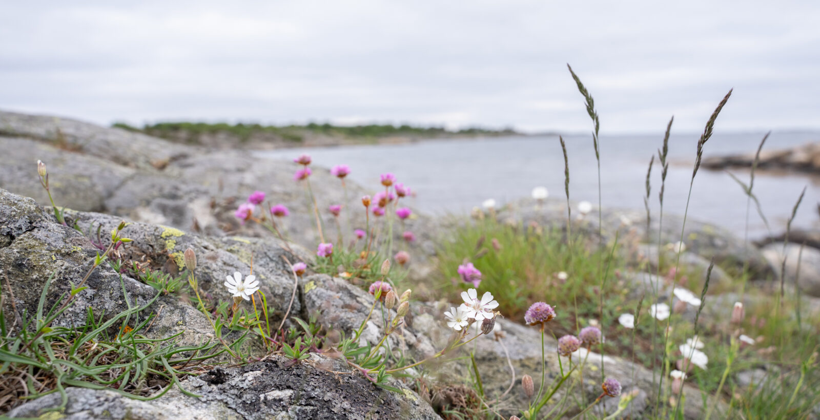 Foto på klippor och hav.