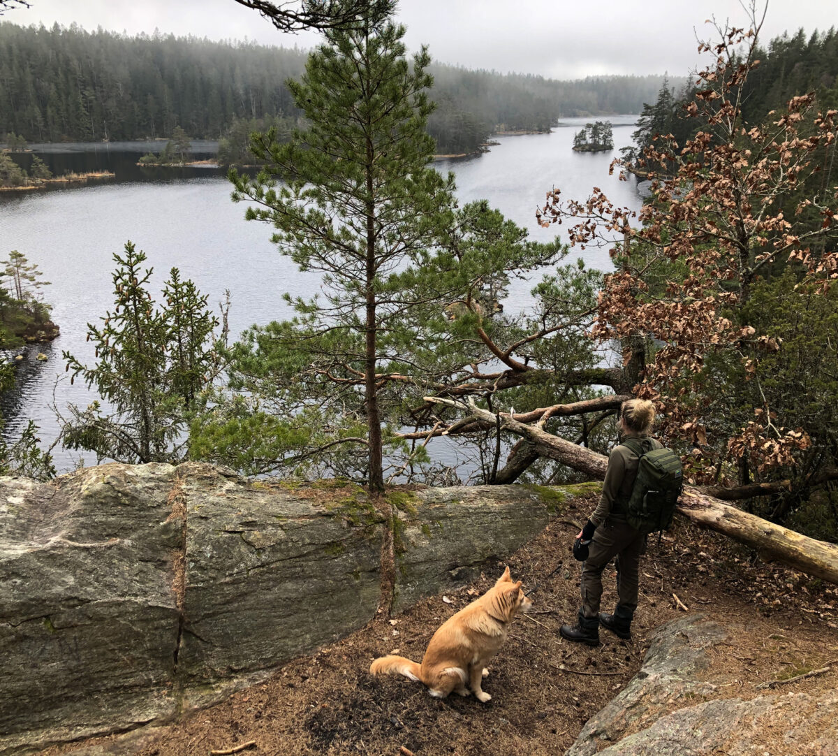 Person med kopplad hund, vid utsikt över sjö och skog. Foto.