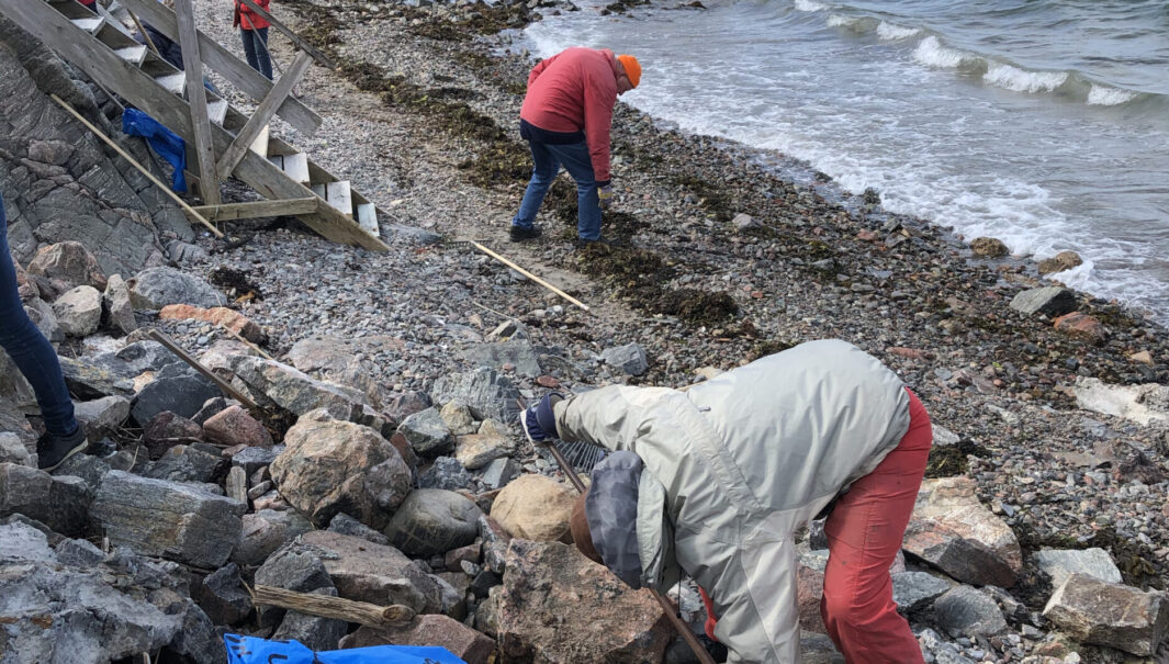 Bild av människor som plockar skräp