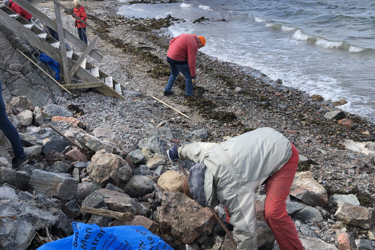 Bild av människor som plockar skräp