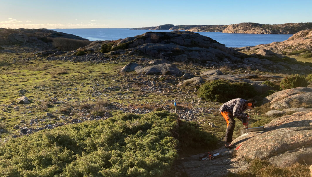 Person borrar i berg för att kunna markera en stig. (Foto)