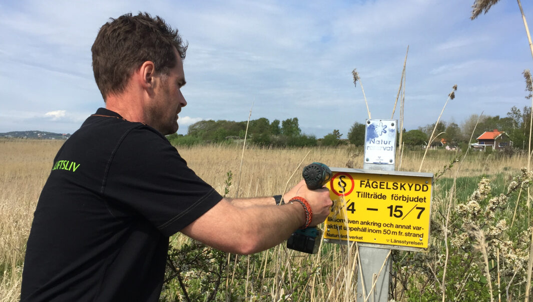 Montering av skyltar som informerar om fågelskydd på Vallda Sandö, Kungsbacka kommun.
