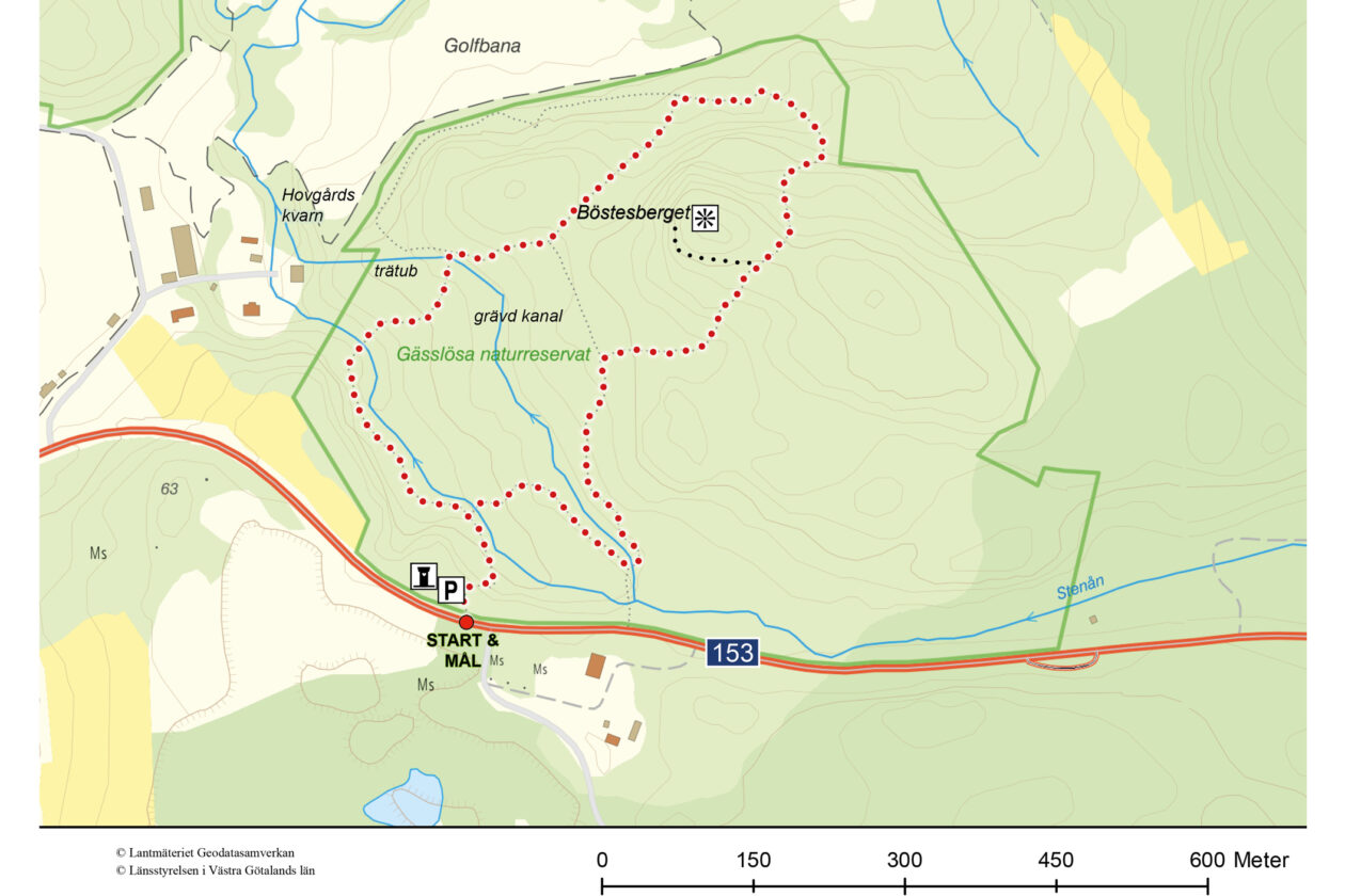 Gässlösa-  Upplev en ädellövskog med ett magiskt ljus på den röda slingan.