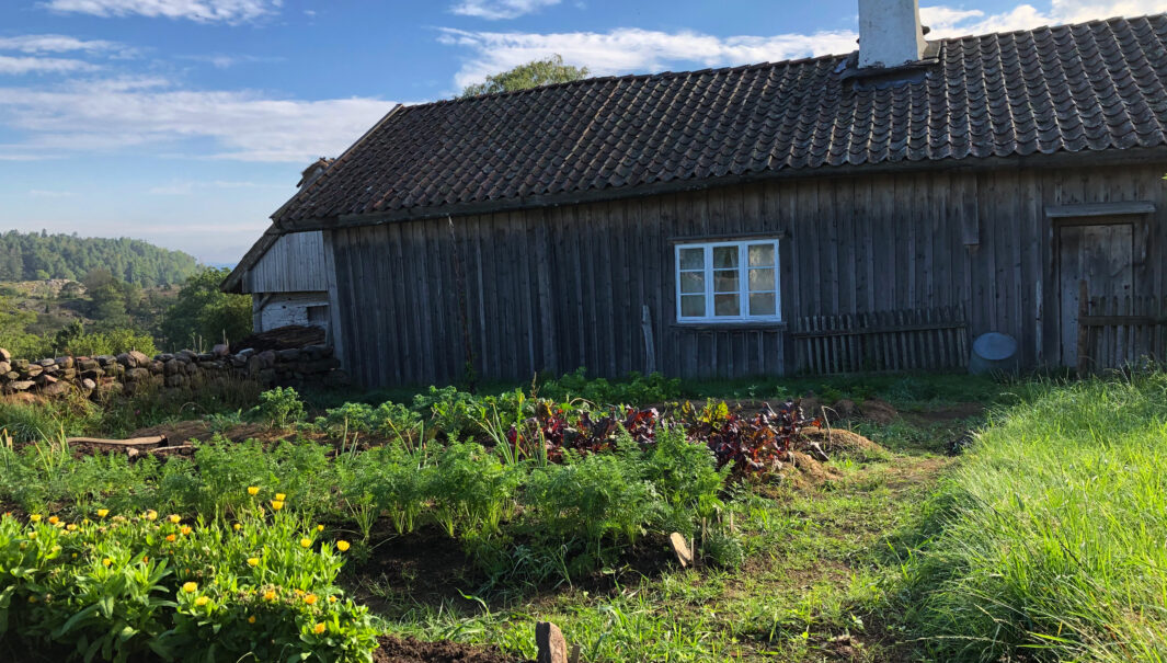 Foto på byggnader och kålgården i kulturreservatet Äskhults by.