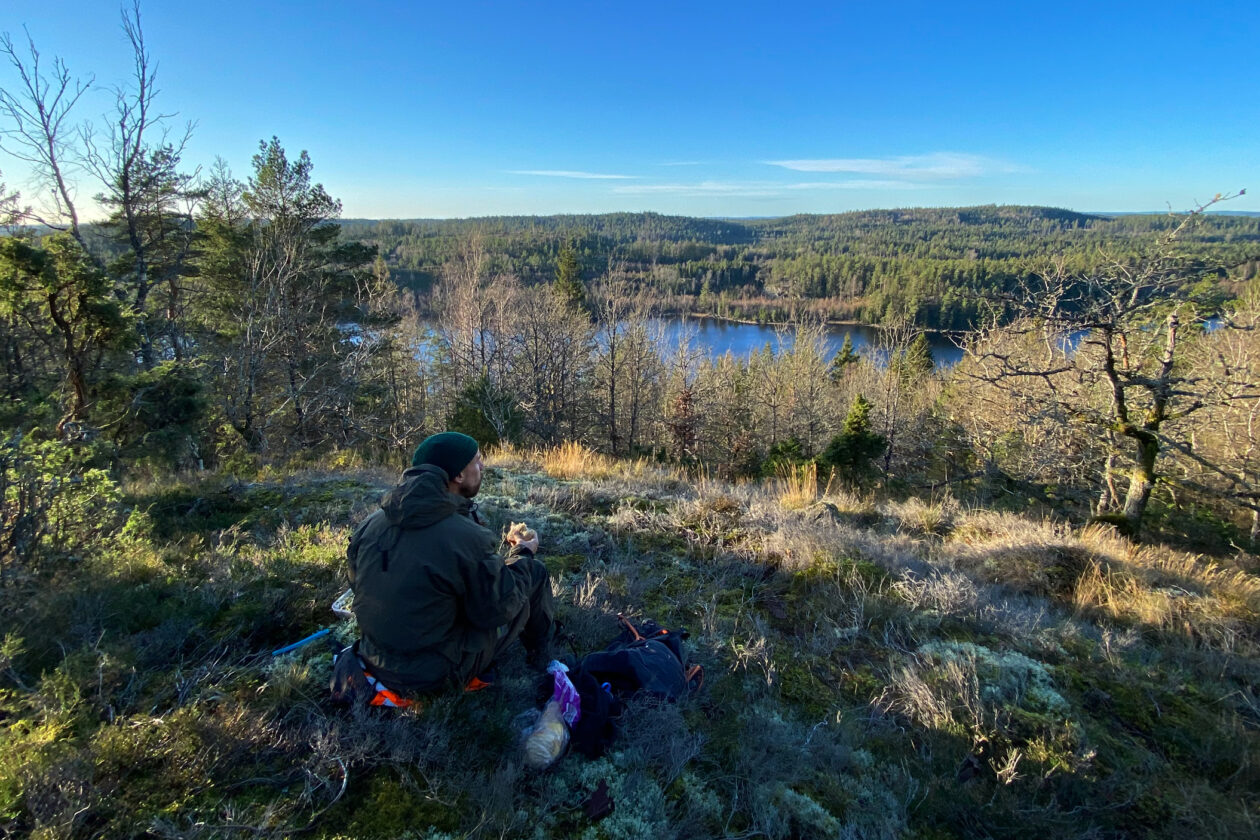 Person sitter och fikar ute i skogen och ser på sjöutsikten. Foto.