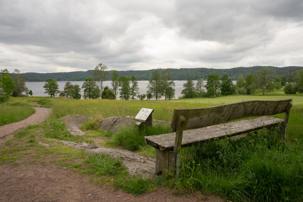 Bänk med utsikt över äng och sjö. Foto.