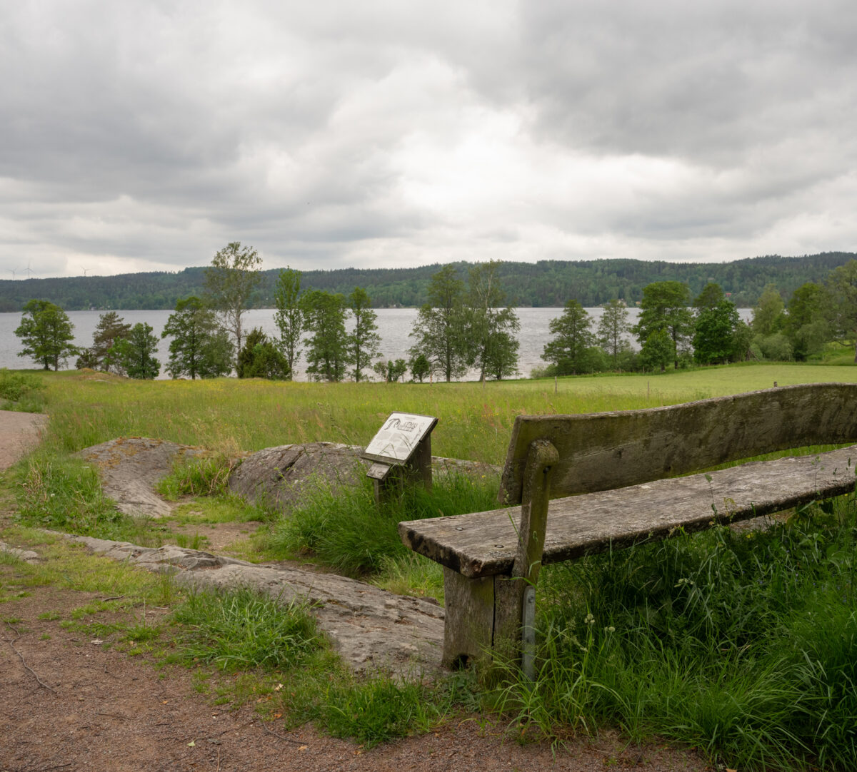Bänk med utsikt över äng och sjö. Foto.