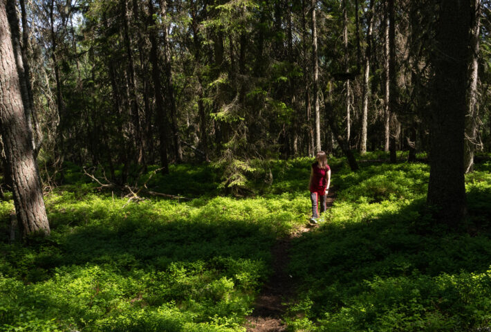person går på en smal skogstig. Foto.