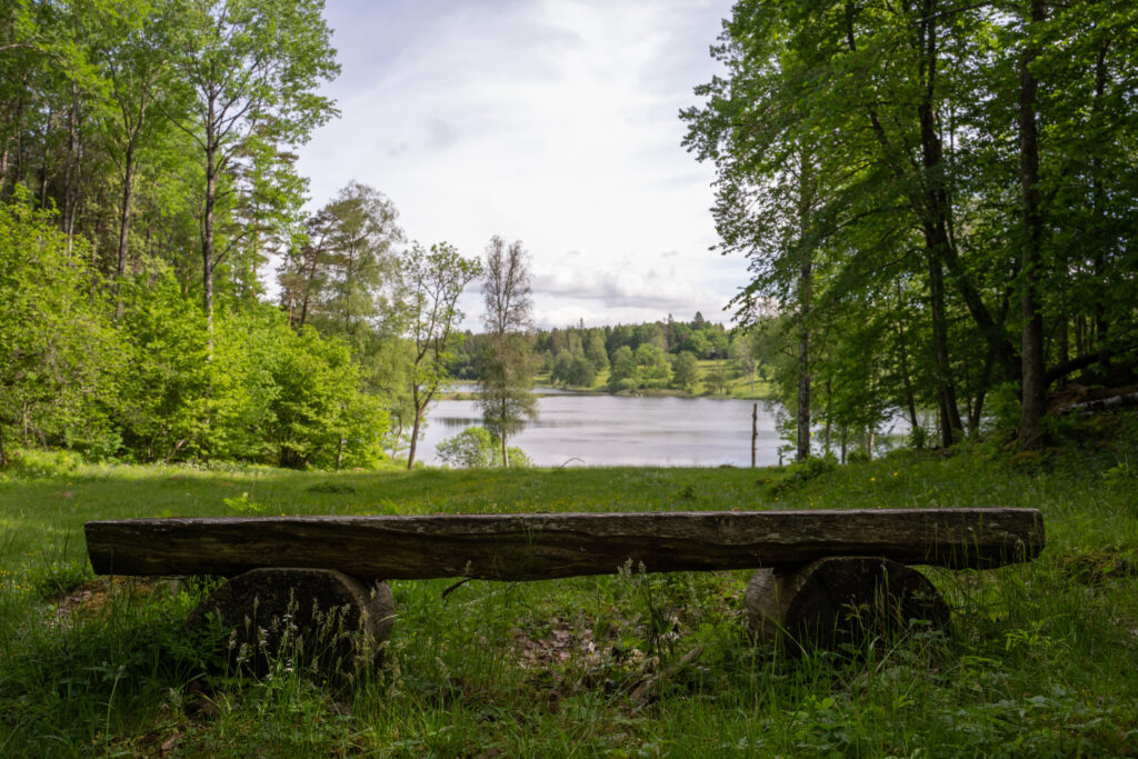 En ekbänk med utsikt över en sjö. Foto.