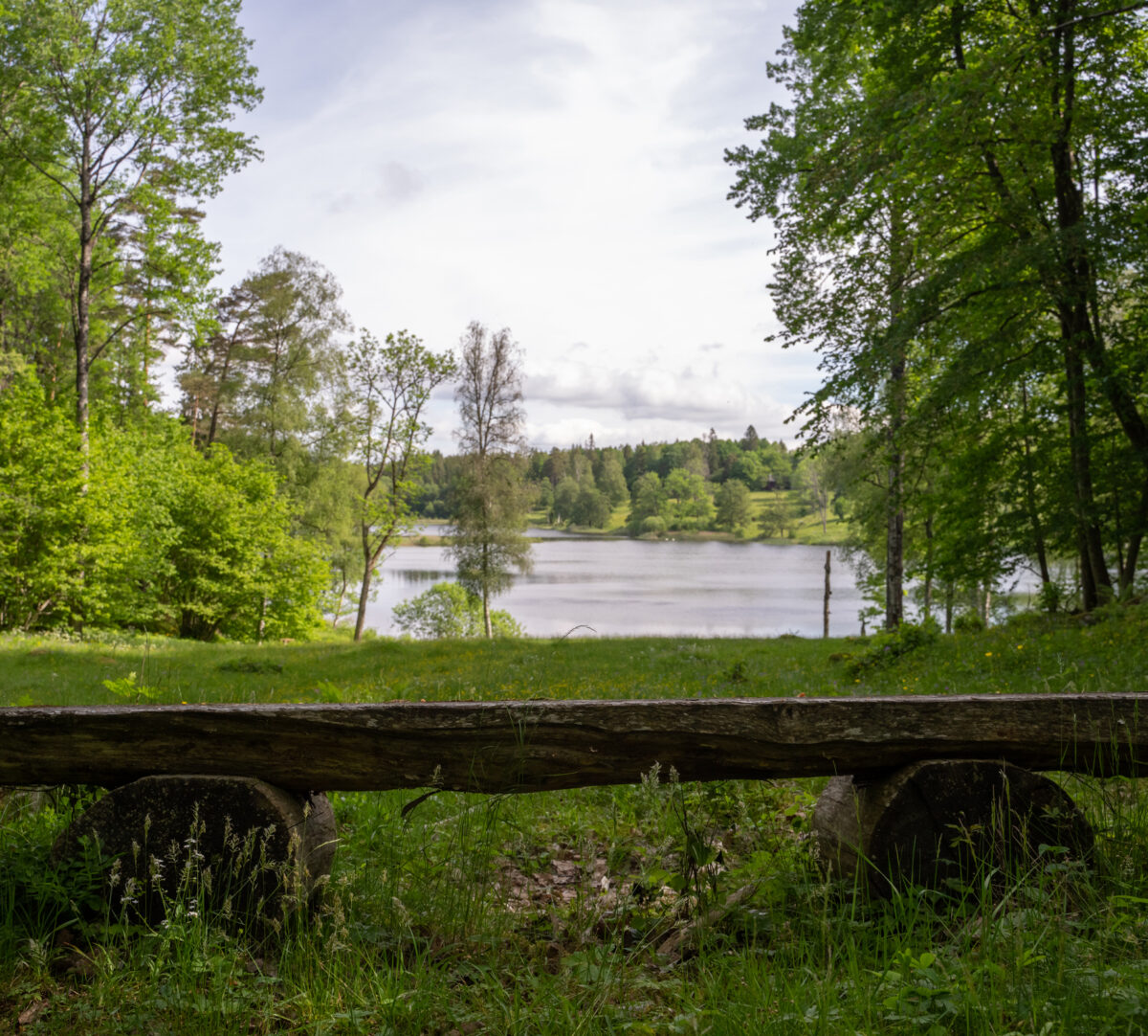 En ekbänk med utsikt över en sjö. Foto.