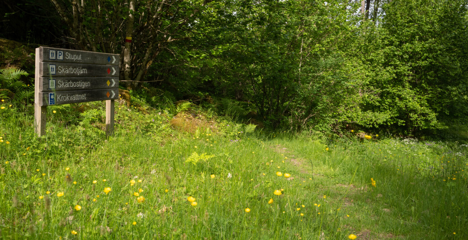 Vägvisre av trä visar vägen in till reservatet. Foto,