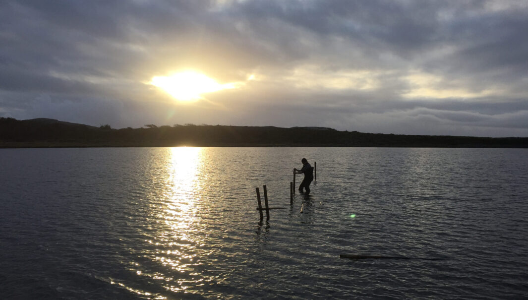 Person står i havet och drar upp stängsel för säsongen. Foto.